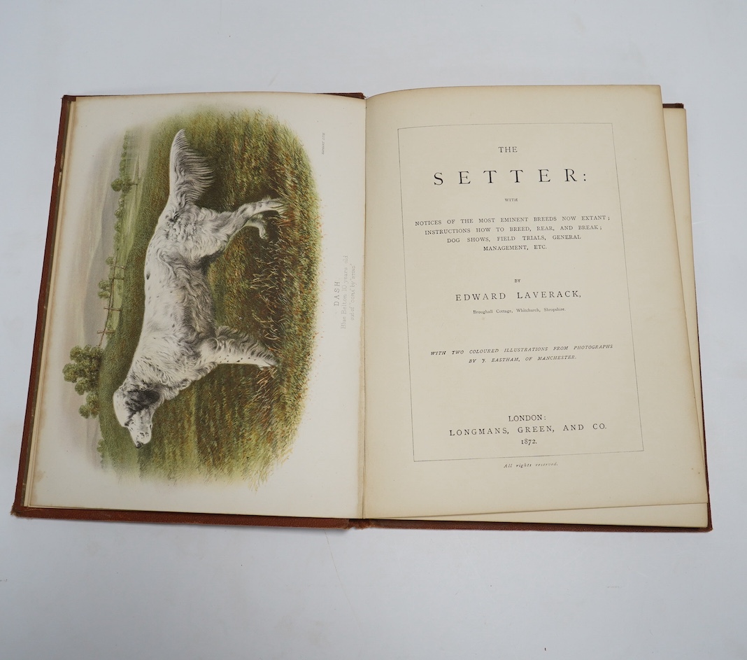 Laverack, Edward - The Setter: with notices of the most eminent breeds now extant ... 1st edition. 2 coloured plates; original blind ruled and gilt decorated cloth with ge. 1872